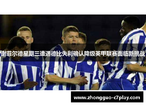 谢菲尔德星期三遭遇德比失利确认降级英甲联赛面临新挑战